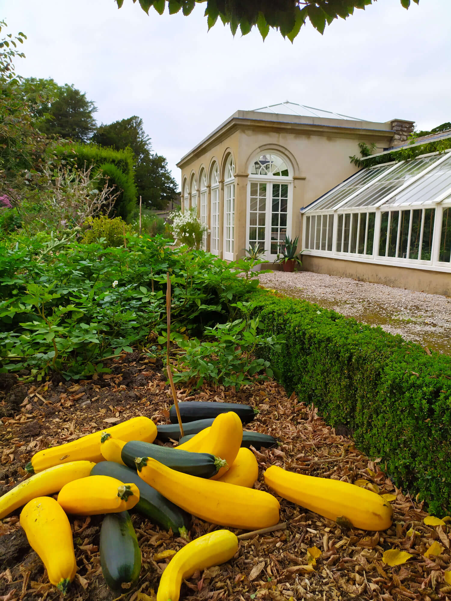 The orangery and productive garden