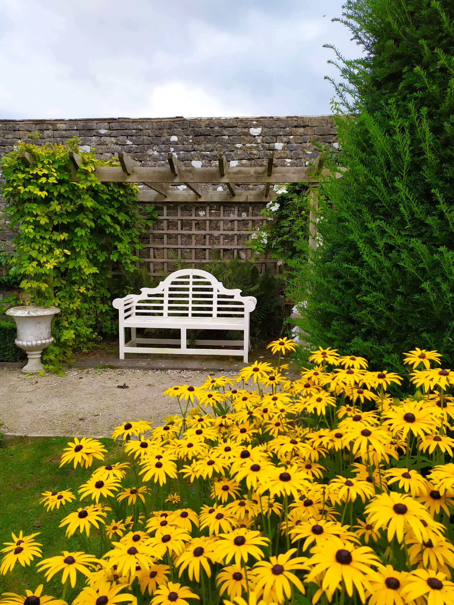 Walled garden bench with rudbeckia